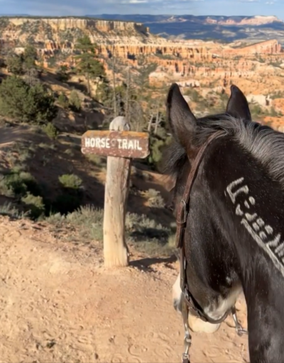 private-horse-ride-reservations-at-bryce-canyon-are-about-to-change
