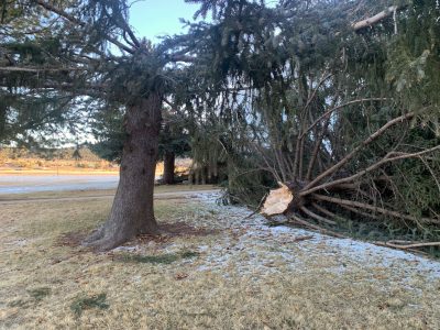 snapped-in-2:-windstorm-knocks-down-trees-at-pine-valley-chapel